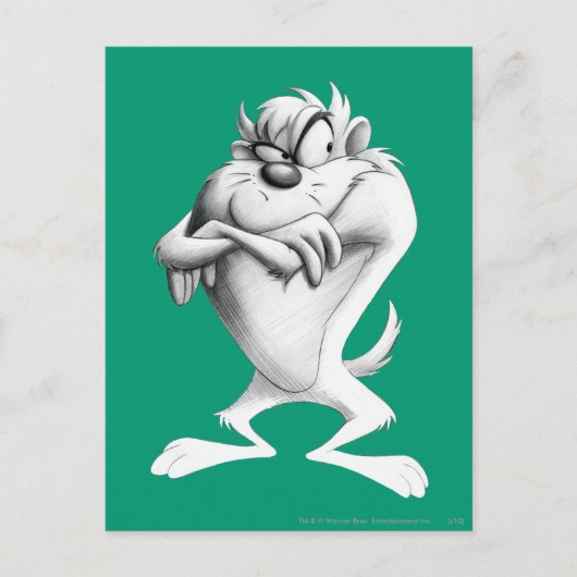 TAZ™ Tekening Briefkaart (Voorkant)