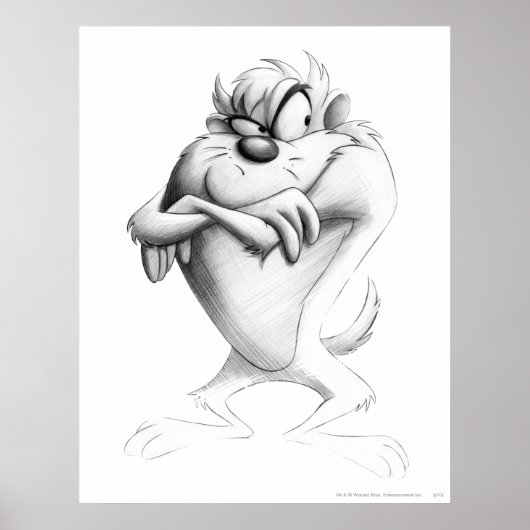 TAZ™ Tekening Poster (Voorkant)