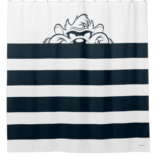TAZ™ Verbergen in strepen Douchegordijn (Voorkant)