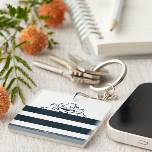 TAZ™ Verbergen in strepen Sleutelhanger (Voorkant Rechts)