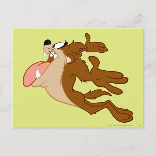 TAZ™ vliegt door de lucht Briefkaart (Voorkant)