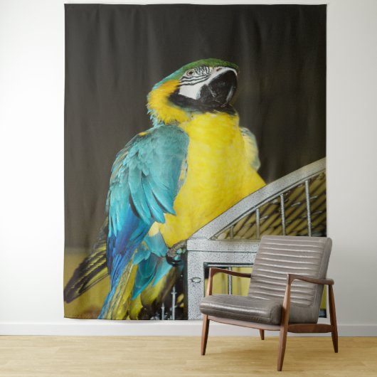 Taz... Wandkleed (In situ)