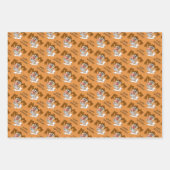 TAZ™ Whirling Tornado Inpakpapier Vel (Voorkant)