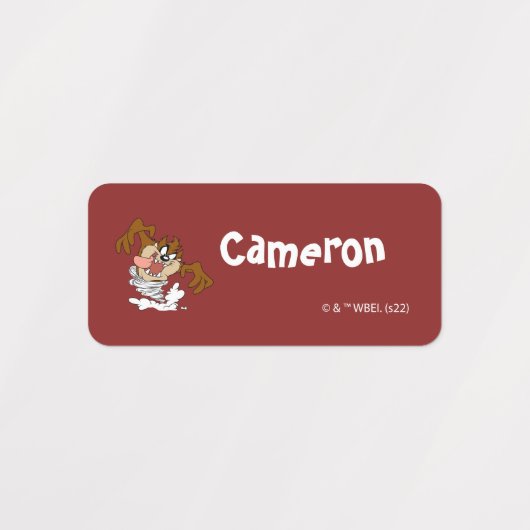 TAZ™ Whirling Tornado Labels (Design 1)