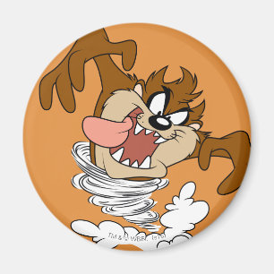 TAZ™ Whirling Tornado Magneet