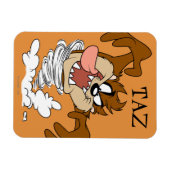 TAZ™ Whirling Tornado Magneet (Horizontaal)