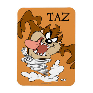 TAZ™ Whirling Tornado Magneet