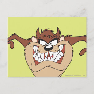 TAZ™ Wide Arms Briefkaart