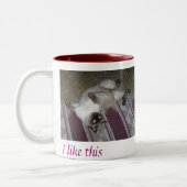 Taza de cafe con dos gatos tweekleurige koffiemok (Links)