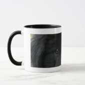 Taza de café con ojos de perro negro mok (Links)