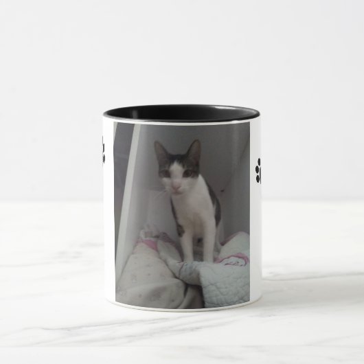 Taza gato lindo mok (Midden)