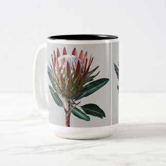 Taza Protea Tweekleurige Koffiemok