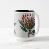 Taza Protea Tweekleurige Koffiemok (Voorkant rechts)