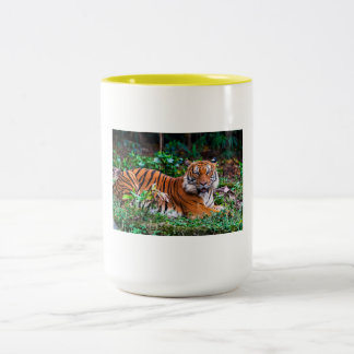 taza tg tweekleurige koffiemok