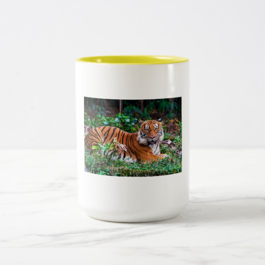 taza tg tweekleurige koffiemok (Center)