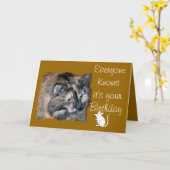 TazIedereenKnows-pas-aan-om het even welke gelegen Kaart (Gele Bloem)