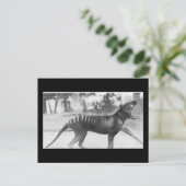 tazmaniaanse tijger briefkaart (Staand voorkant)