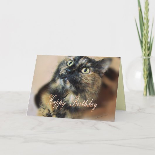 TazzieBday-customize Kaart (Voorkant)