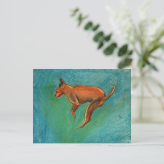 Tazzmaster Briefkaart (Staand voorkant)