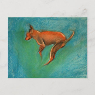 Tazzmaster Briefkaart