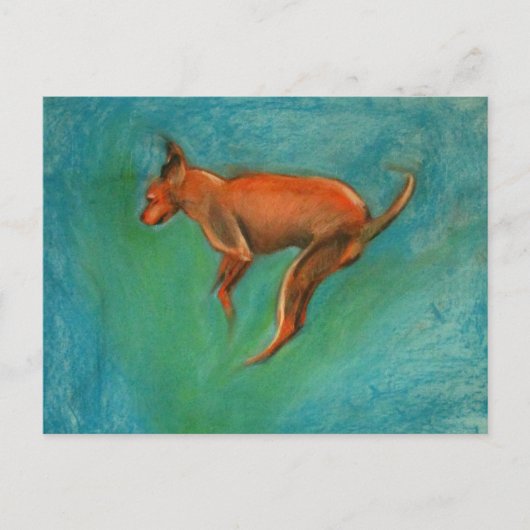 Tazzmaster Briefkaart (Voorkant)