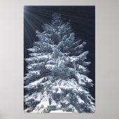 TBA Award- Denne Lichten Poster (Voorkant)