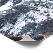 TBA Award - Pine Lights Poster (Hoek)