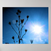 TBA Award - Winner Hope Poster (Voorkant)