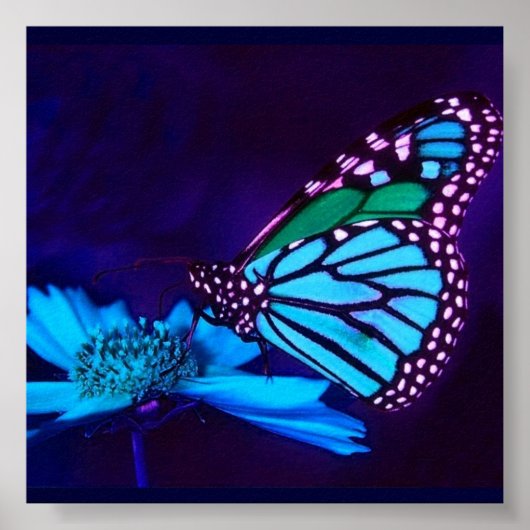 - TBA - Butterfly in Blue Light Poster (Voorkant)