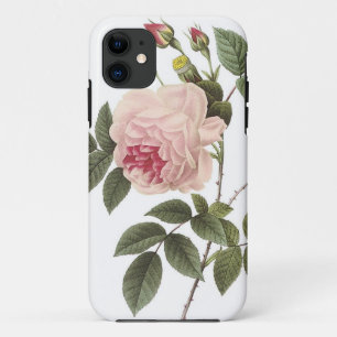 (TBA) Redoute Roos 2 iPhone 11 Hoesje