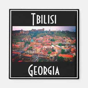 Tbilisi Georgië Stadsbeeld Architectuur Magneet