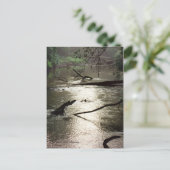 Tchefuncte Glimmer Briefkaart (Staand voorkant)