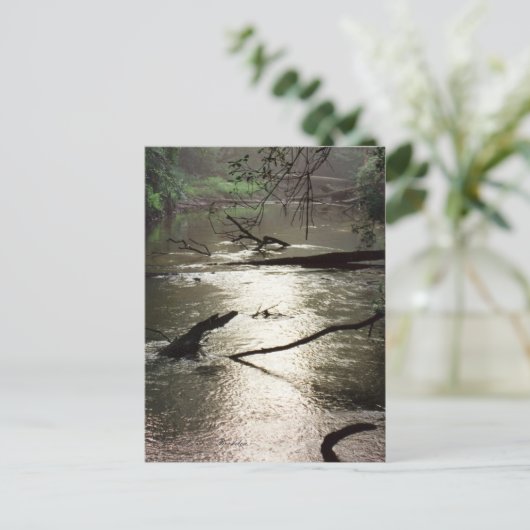 Tchefuncte Glimmer Briefkaart (Staand voorkant)