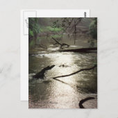 Tchefuncte Glimmer Briefkaart (Voorkant / Achterkant)