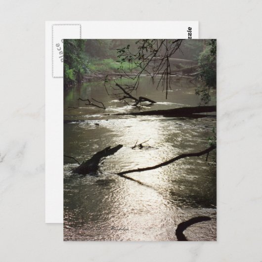 Tchefuncte Glimmer Briefkaart (Voorkant / Achterkant)