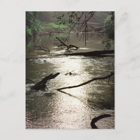 Tchefuncte Glimmer Briefkaart (Voorkant)