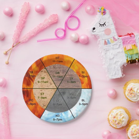 TCM klokelementen meridians orgels acupunctie Papieren Bordje (Feest)