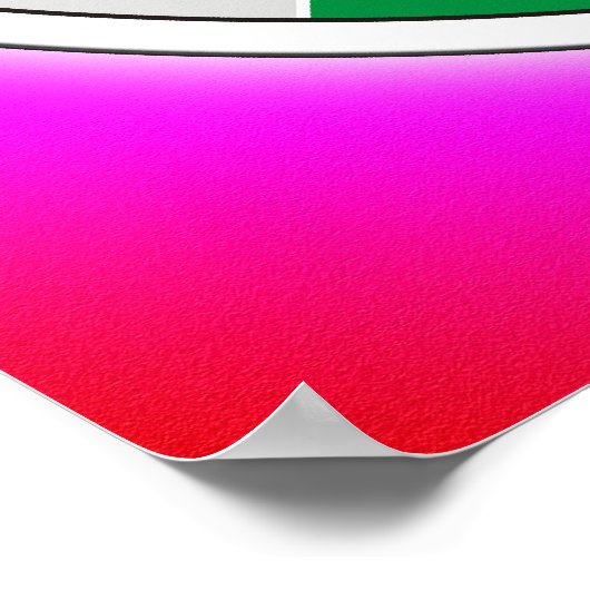 TCM Organogram / orgaanklok Poster (Hoek)