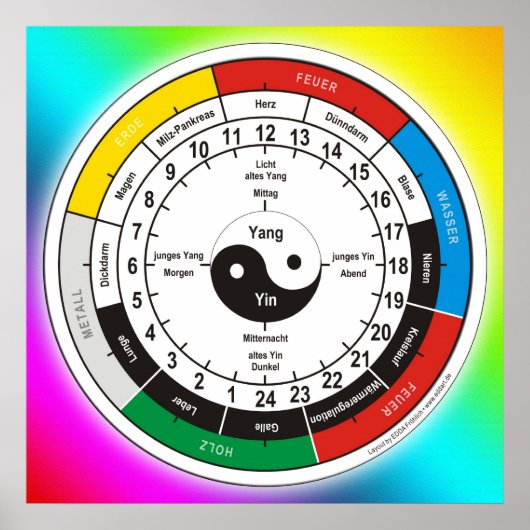 TCM Organogram / orgaanklok Poster (Voorkant)