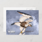 TCWC - American Kestrel Illustratie met Logo Briefkaart (Voorkant / Achterkant)