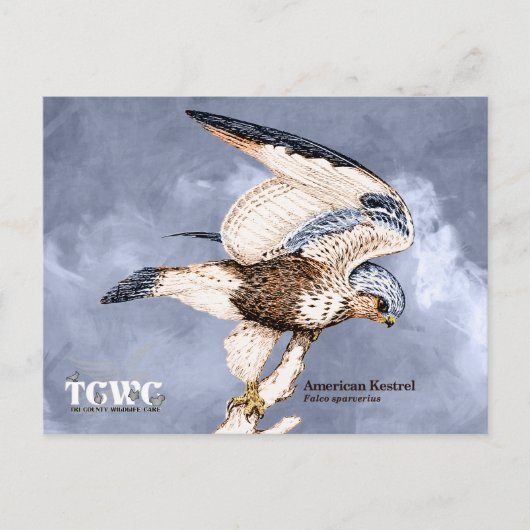 TCWC - American Kestrel Illustratie met Logo Briefkaart (Voorkant)