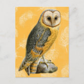 TCWC - Barn Owl  Briefkaart (Voorkant)