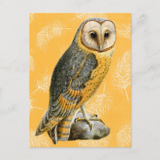 TCWC - Barn Owl  Briefkaart (Voorkant)