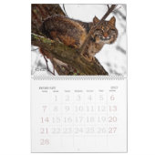TCWC - Inheemse Californische natuur - Aangepast j Kalender (Feb 2027)