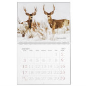 TCWC - Inheemse Californische natuur - Aangepast j Kalender (Jan 2027)