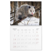 TCWC - Inheemse Californische natuur - Aangepast j Kalender (Mar 2027)