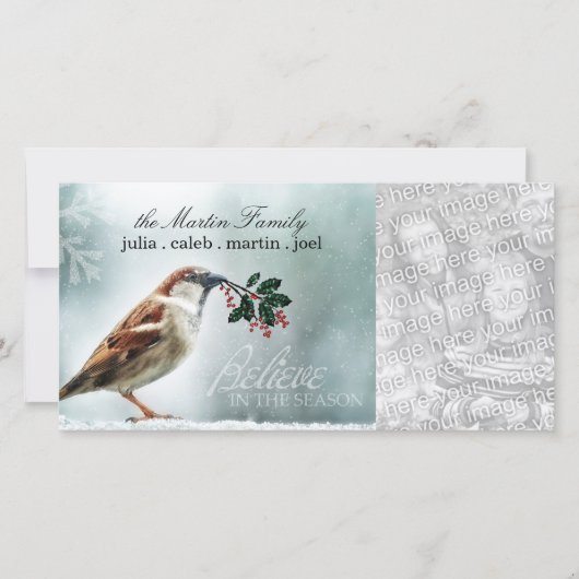 TCWC - Mus van het Huis van de Vakantie de Sneeuw Feestdagenkaart (Voorkant)