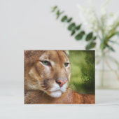TCWC - Puma Mountain Lion Art Briefkaart (Staand voorkant)