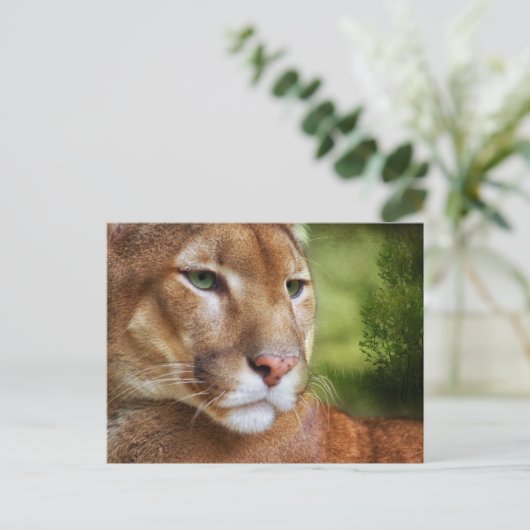 TCWC - Puma Mountain Lion Art Briefkaart (Staand voorkant)