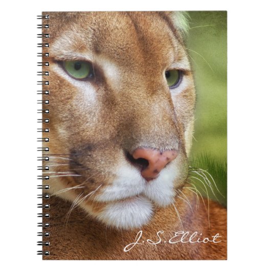 TCWC - Puma Mountain Lion Art Notitieboek (Voorkant)